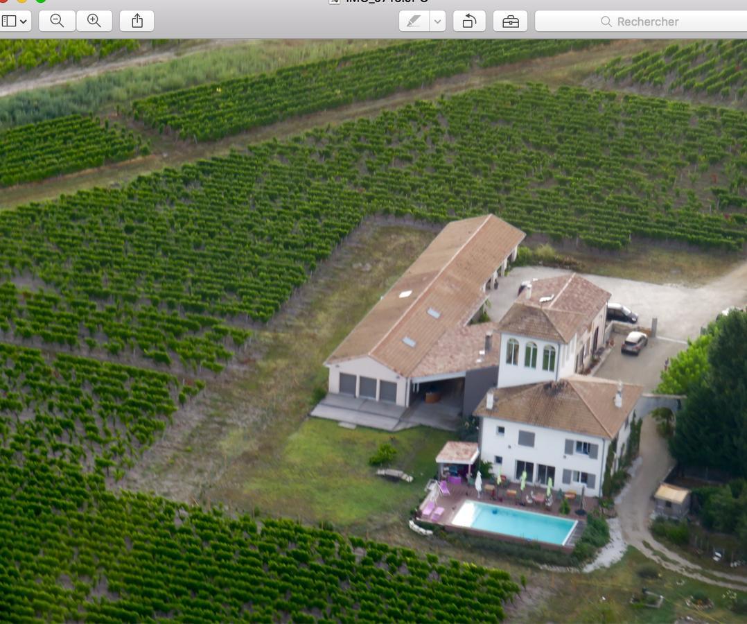 Chateau Trillon Sauternes Buitenkant foto