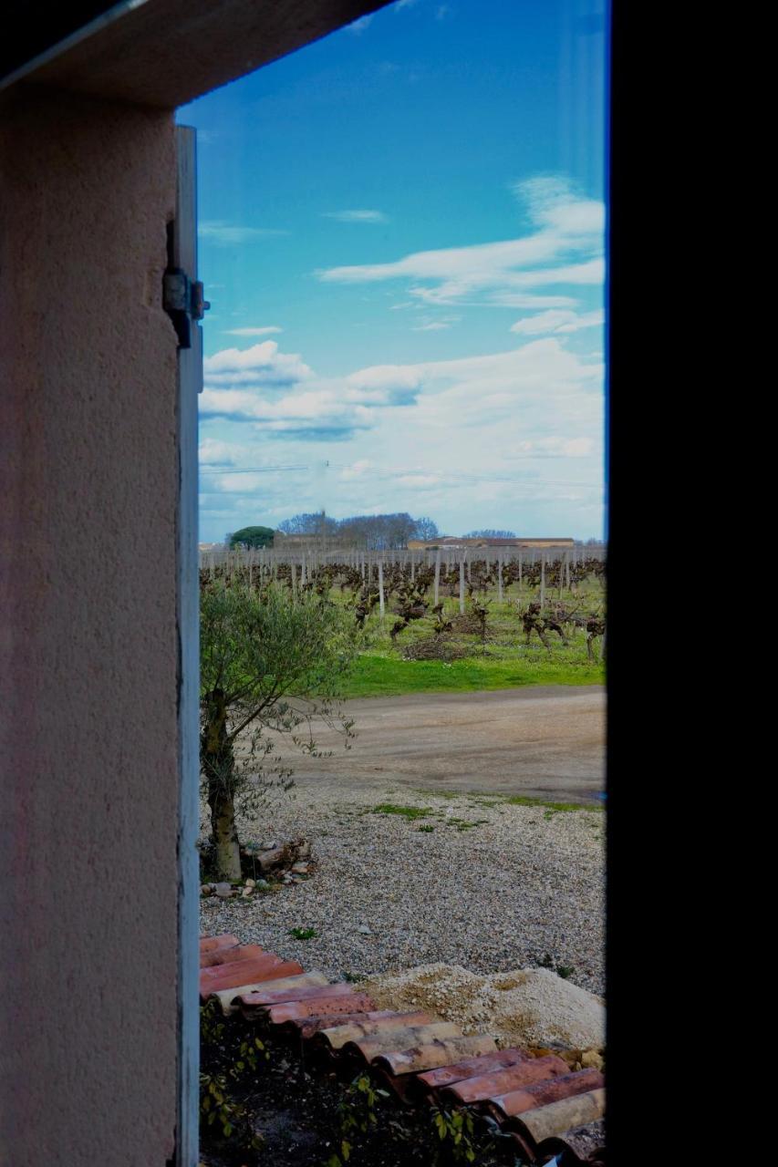 Chateau Trillon Sauternes Buitenkant foto